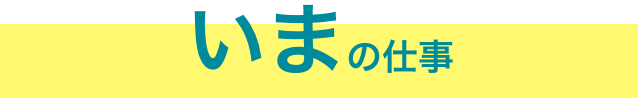 入社1年目の仕事